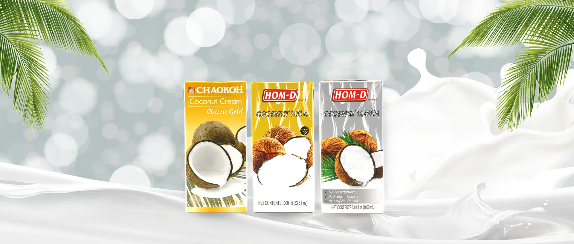 Coconut_Box_Banner_WEBP