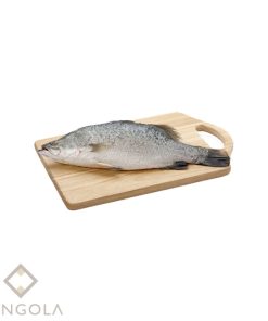 FROZ. BARRAMUNDI WHOLE (GGS) 600/800g - 5kg/ctn - [$/kg]
