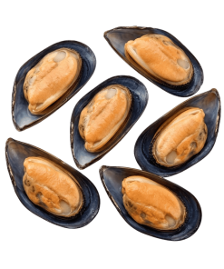 FROZ. MUSSEL Half Shell 'China' Large 1kg
