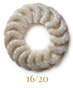 FROZ. PRAWN 16/20 Non-Marinade 700g